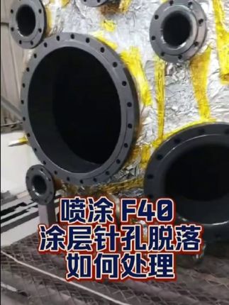 ��ͿF40�ļҺ�